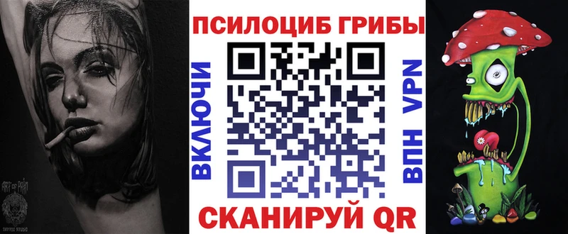 цены   Сосновый Бор  Галлюциногенные грибы Cubensis 