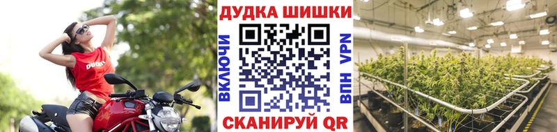 Конопля SATIVA & INDICA  Сосновый Бор 
